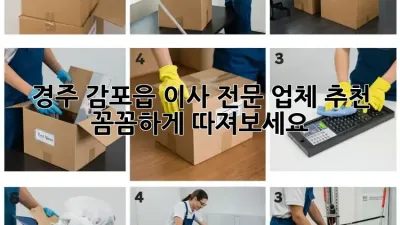 경주 감포읍 이사 전문 업체 추천: 꼼꼼하게 따져보세요!